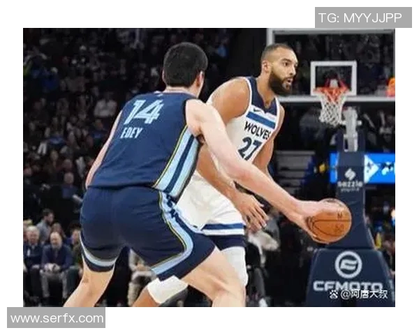 2019年火箭与灰熊精彩对决视频回顾与分析 2019年火箭与灰熊精彩对决视频回顾与分析