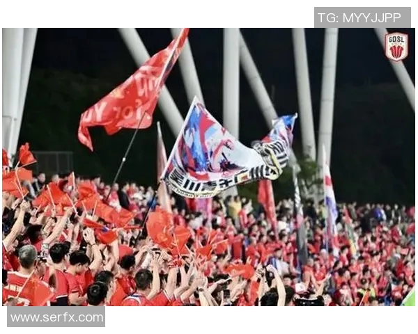 中超激战天海迎战上港球迷期待精彩对决与激情时刻