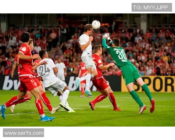 拜仁慕尼黑与弗赖堡激战回顾16至17赛季精彩瞬间与战术分析