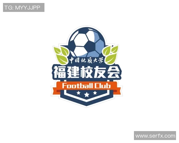 成都排球队战术解析与对比深度剖析球队表现与战略布局MBA