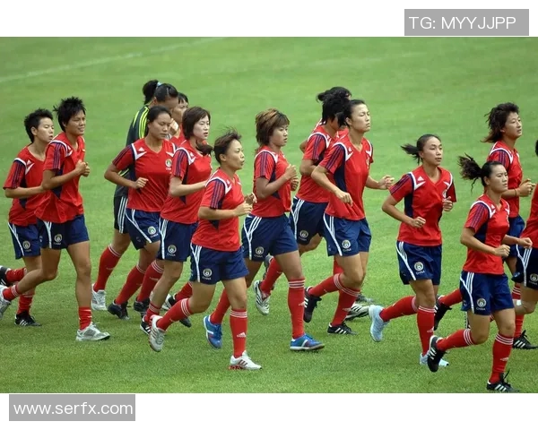 2014年韩国女足精彩比赛回放与分析,重温激动人心的瞬间与战术亮点