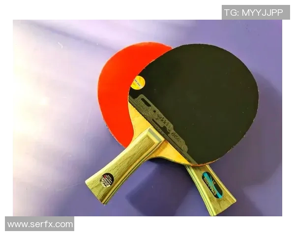 乒乓球爱好者必看:全面解析训练器材选购指南与推荐