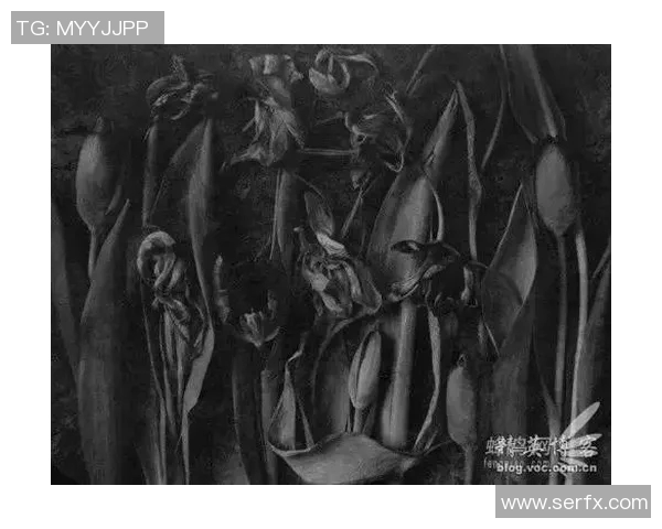 布莱克尼的魅力探索：揭开这个神秘小镇的历史与文化面纱