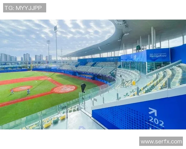 杭州亚运会排球队意识表现分析：团队协作与战术执行的完美结合