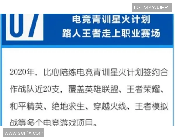 深入探讨FPX在王者荣耀比赛中的经验与战术解析