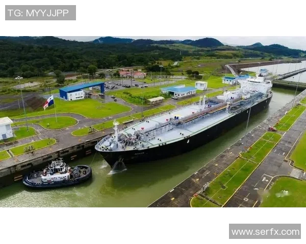 LNG战队转型之路的深度剖析与未来展望